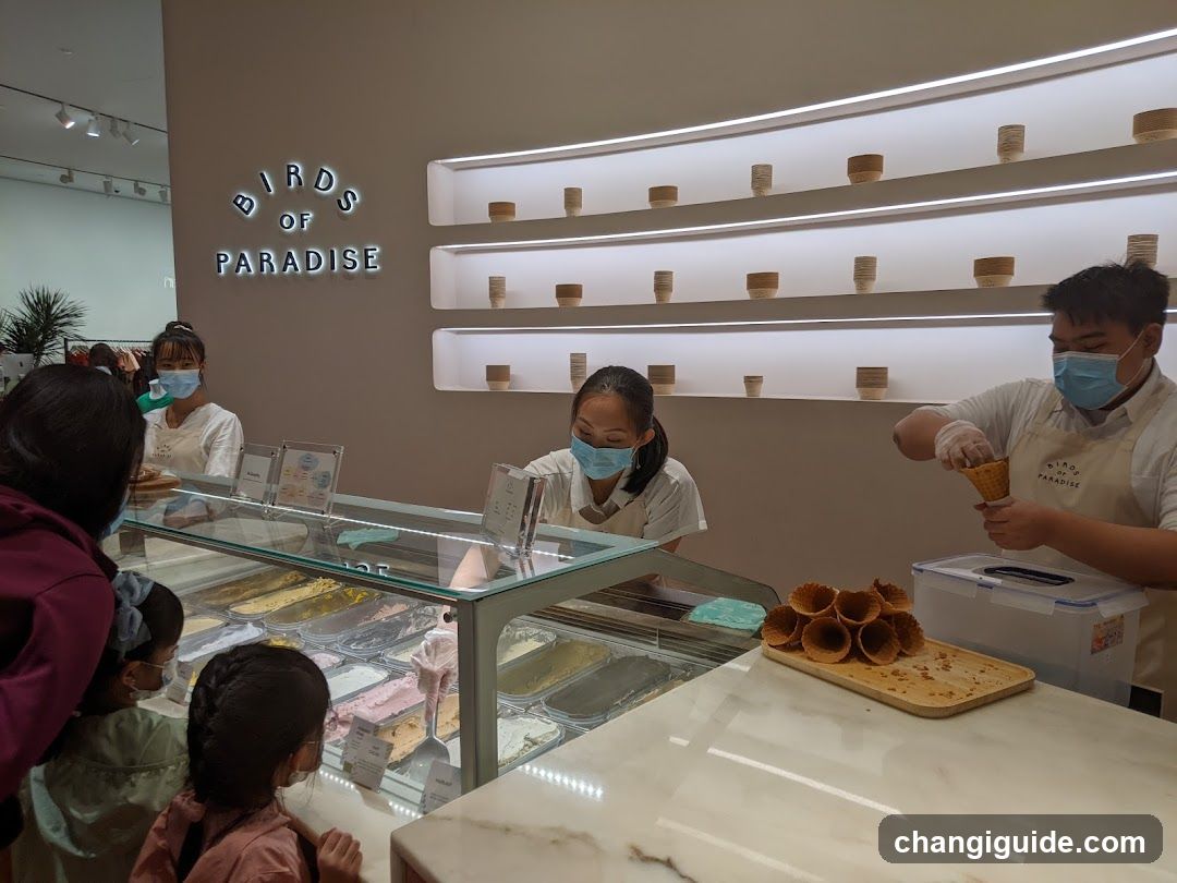 Birds of Paradise Ice Cream Shop Interior
