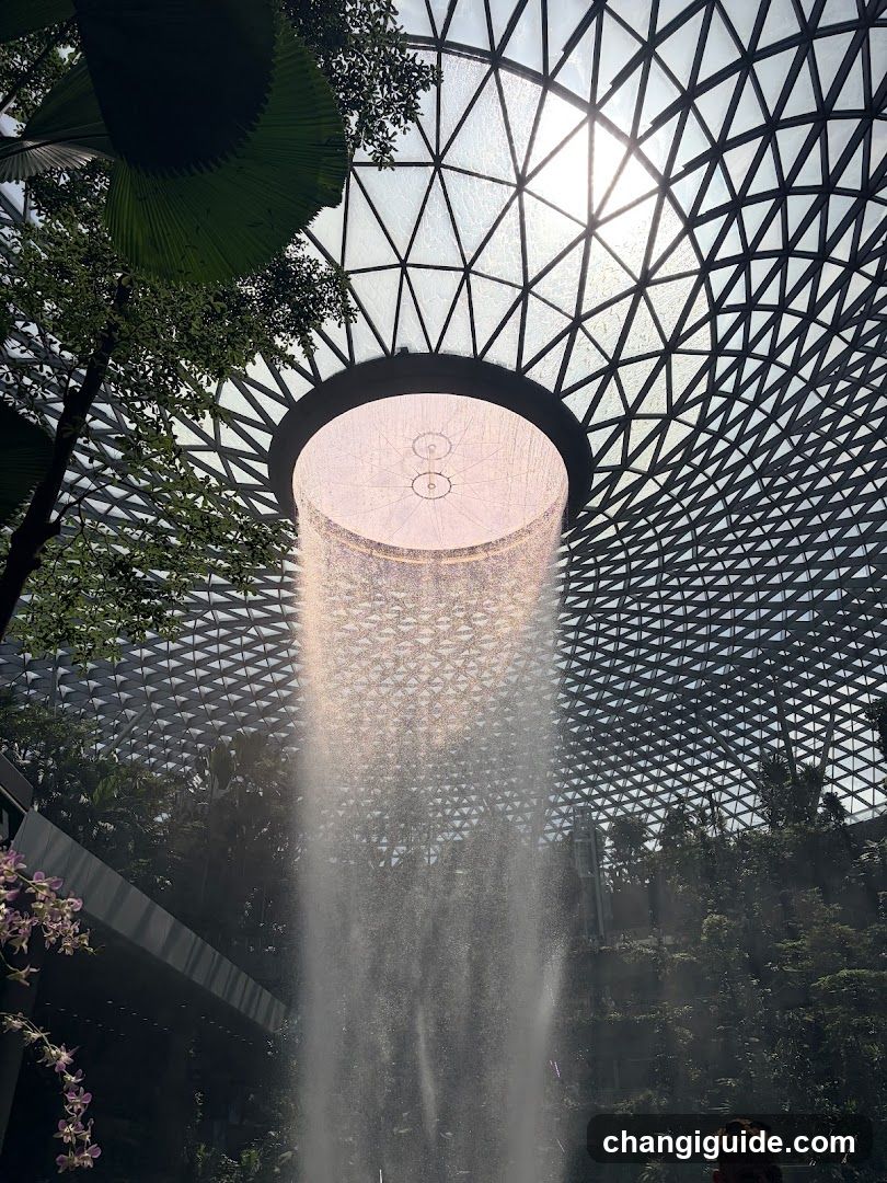 Rainforest Waterfall in a Dome