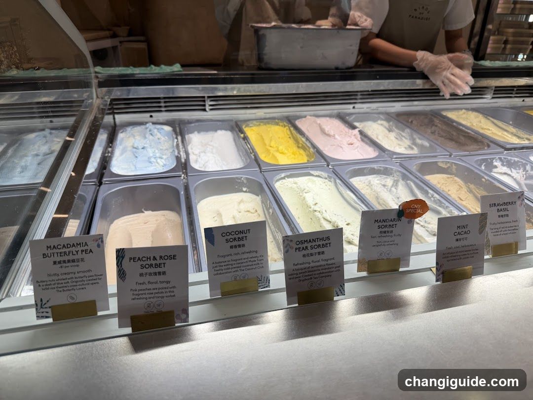 Sorbet Display Case
