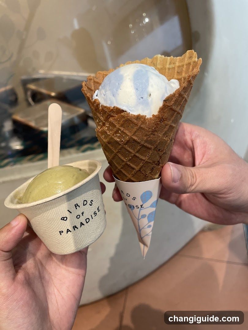 Ice Cream Treats