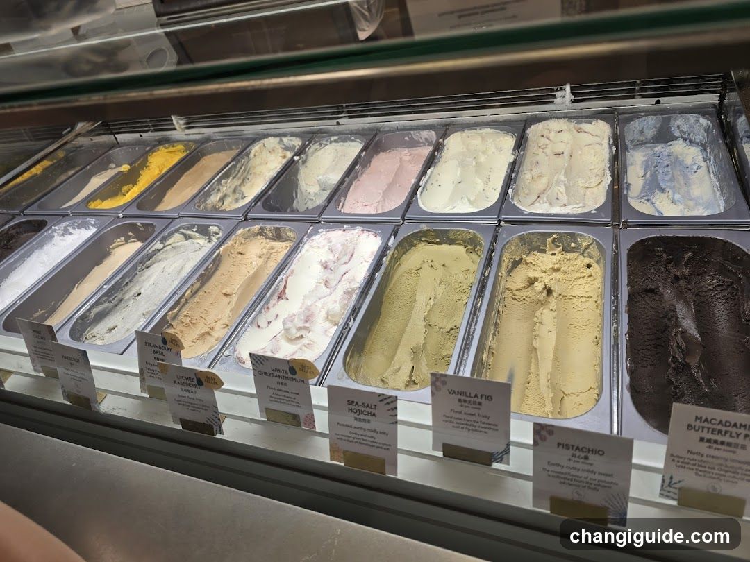 Gelato Display Case
