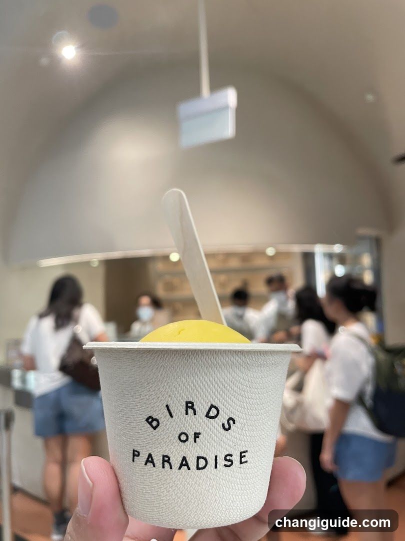 Birds of Paradise Cup
