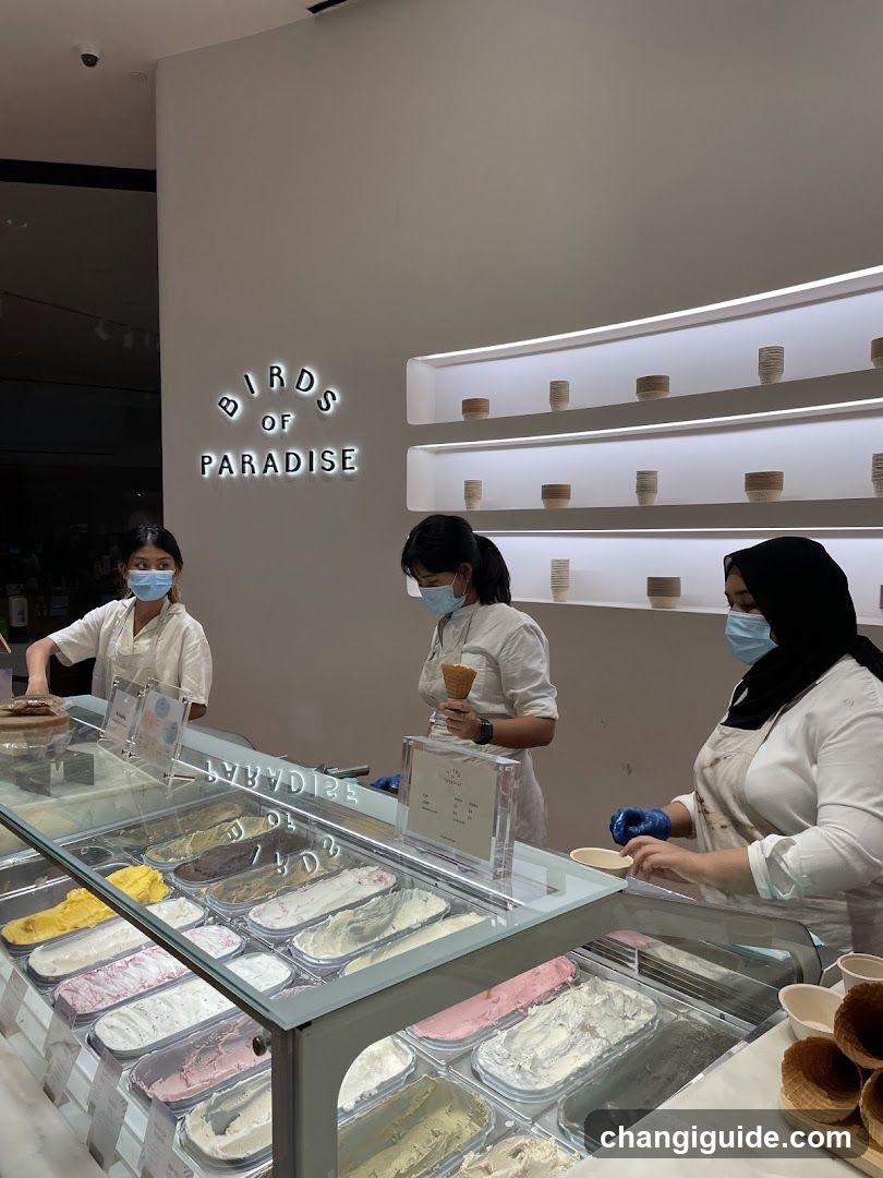 Birds of Paradise Ice Cream Shop Interior