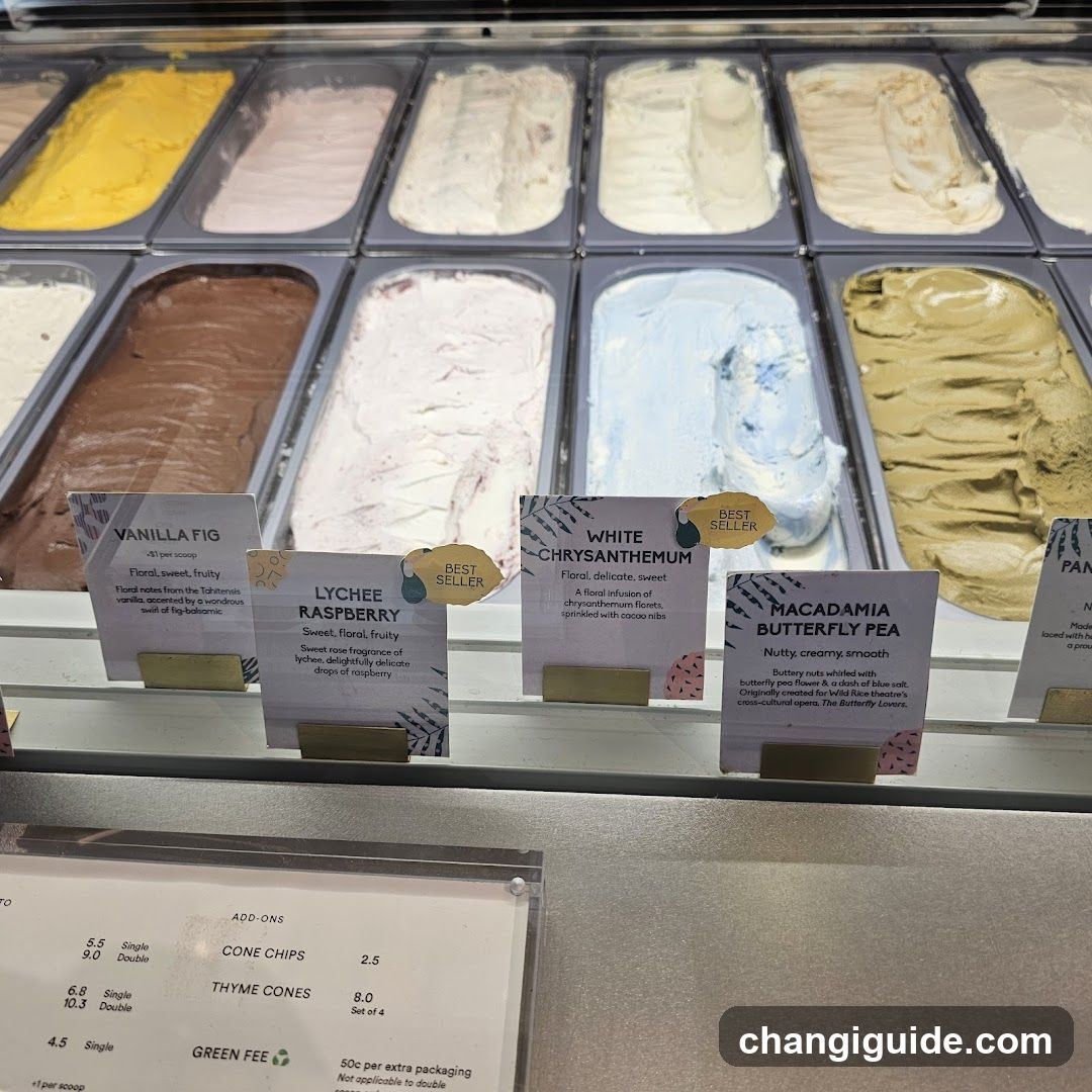 Gelato Display Case