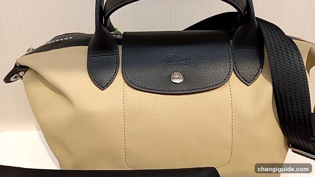 Longchamp bag close-up