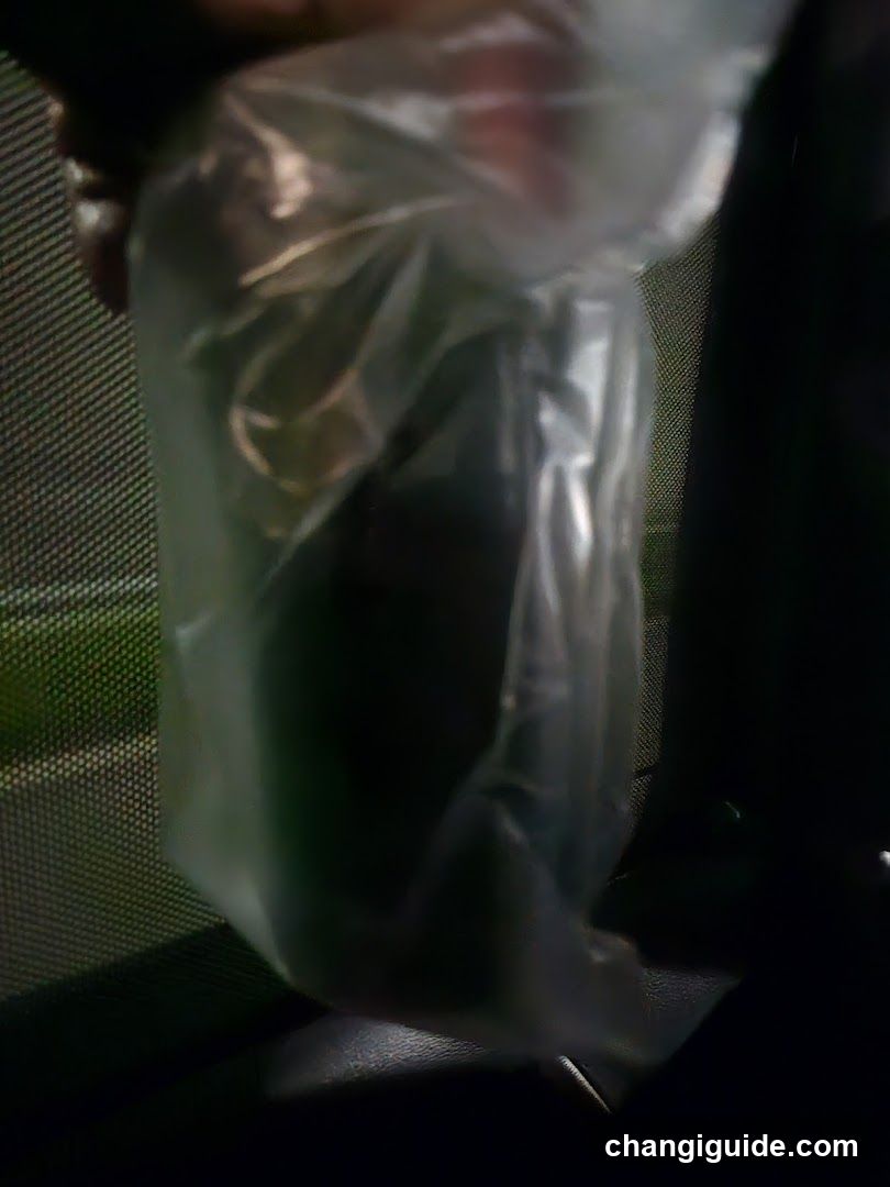 Plastic Bag with Green Item