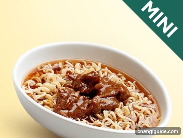 Mini Instant Noodles with Beef Broth