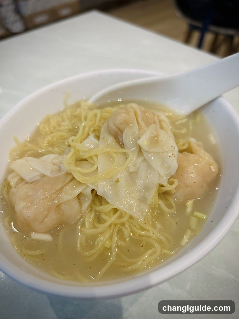 Wonton Noodle Soup Bowl