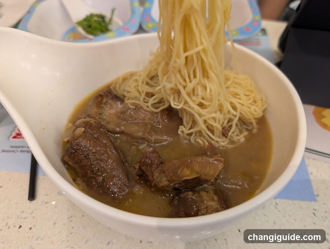 Bowl of Beef Noodles with Broth