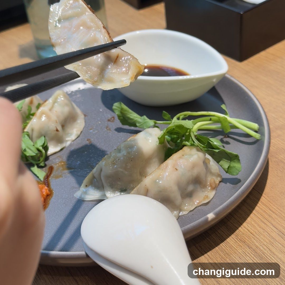 Dumplings with dipping sauce