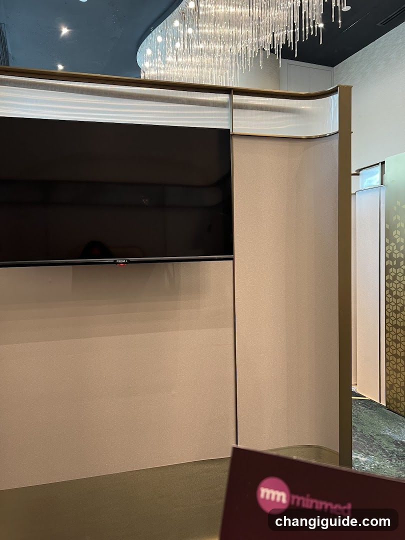 Interior Display with TV and Signage