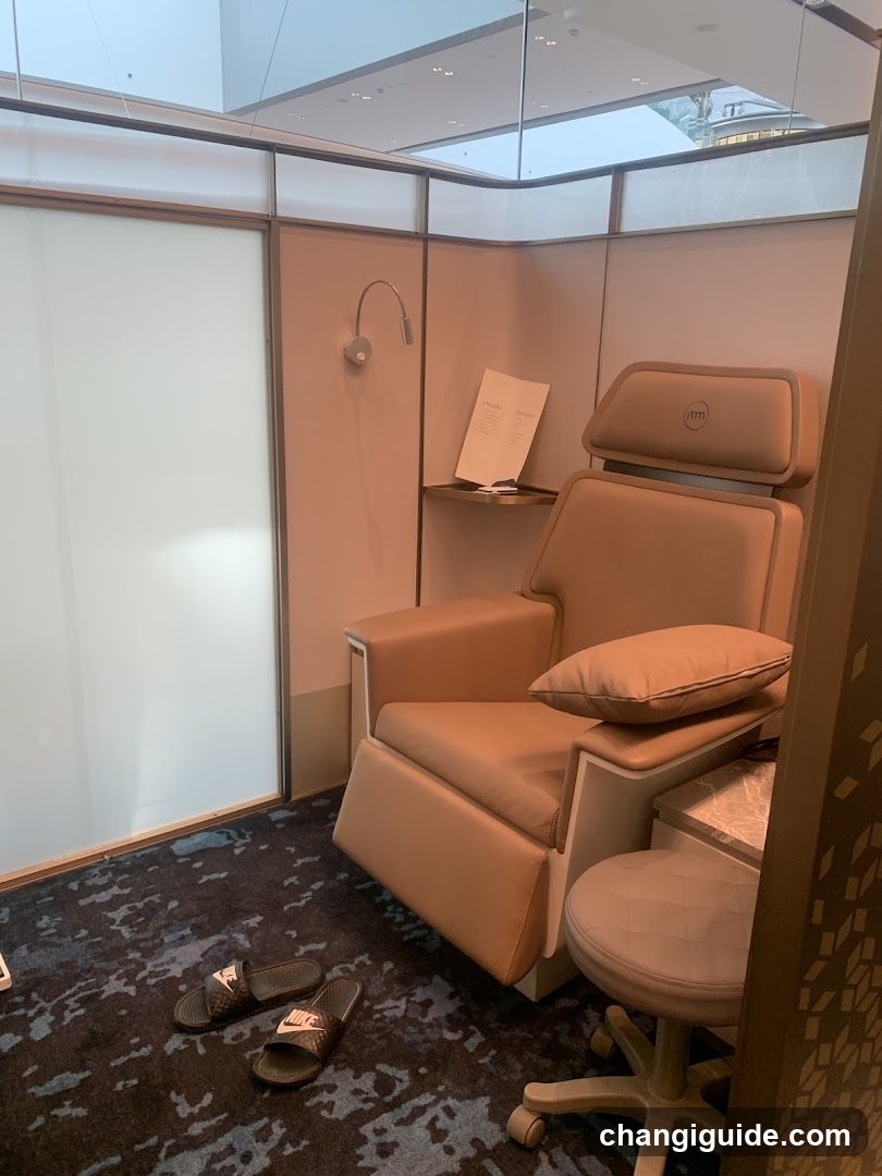 Luxury Spa Chair Interior