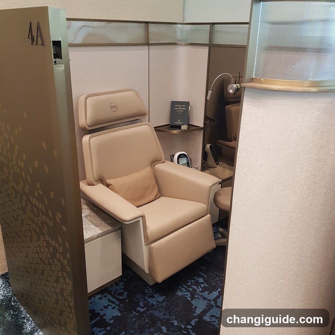 Luxury Lounge Chair