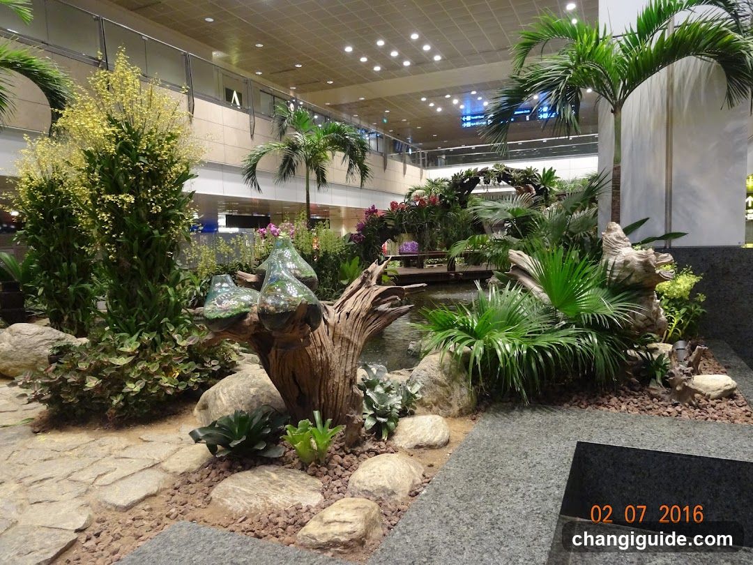 Indoor Garden Display