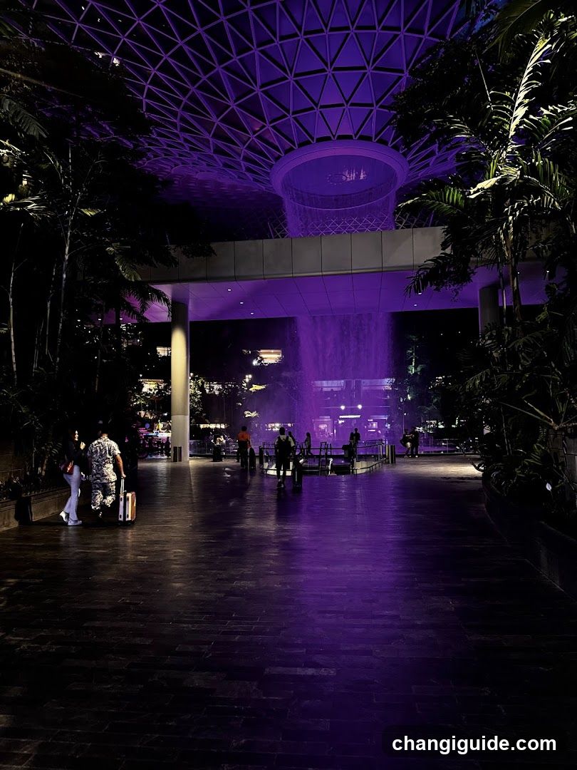 Night scene with purple lighting and waterfall feature