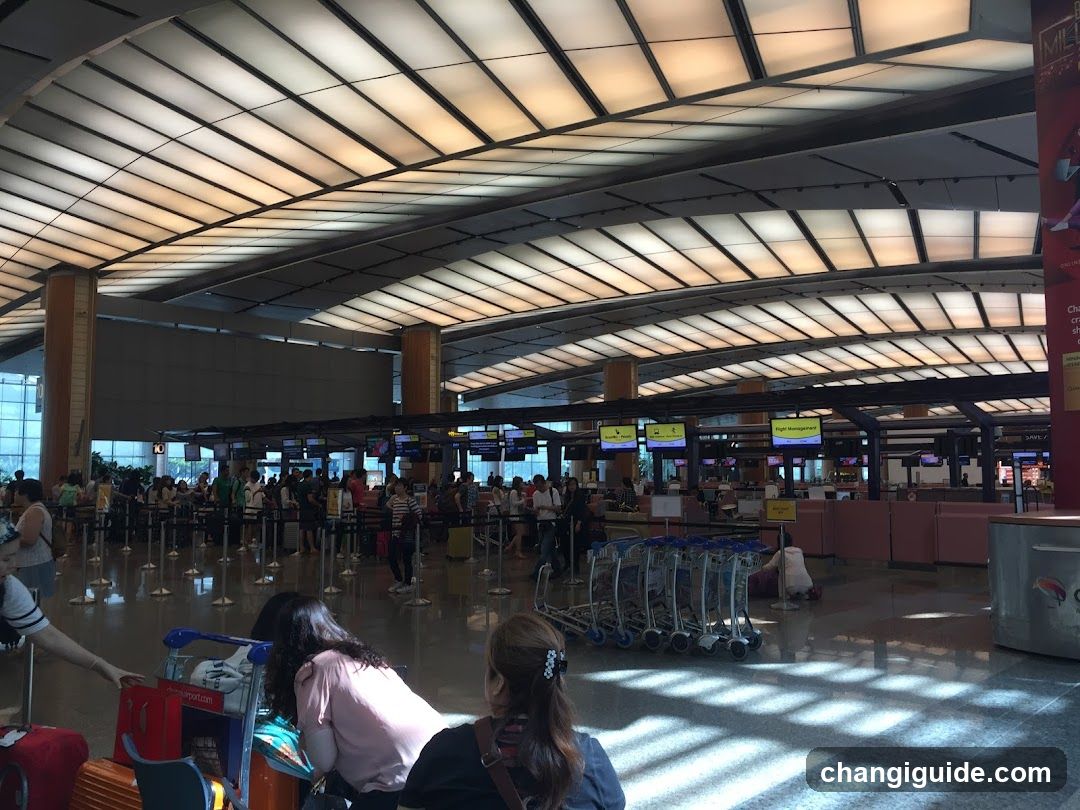 Airport Check-in Hall Interior
