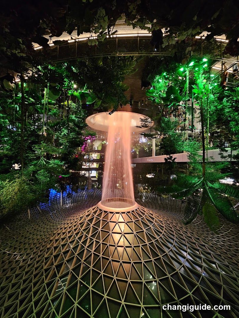 Supertree Grove at Gardens by the Bay