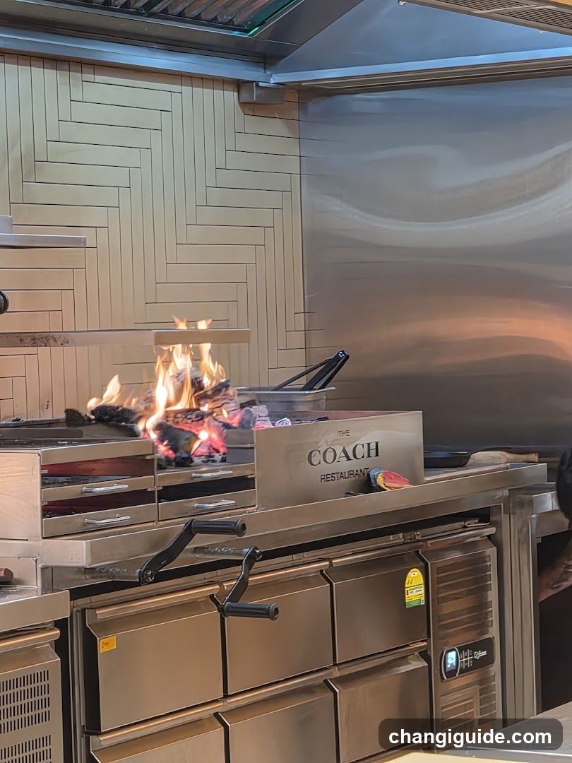 Kitchen Cooking Scene