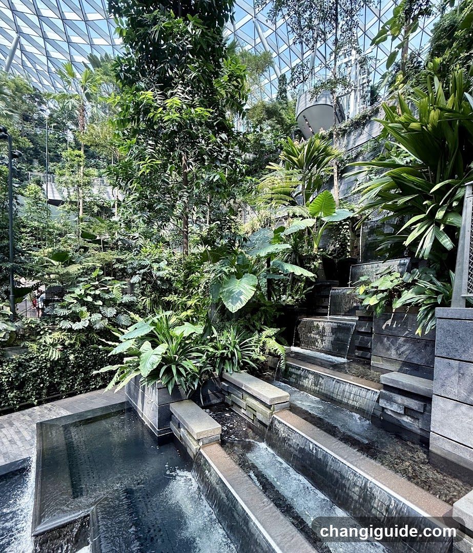 Tropical Indoor Garden with Water Features