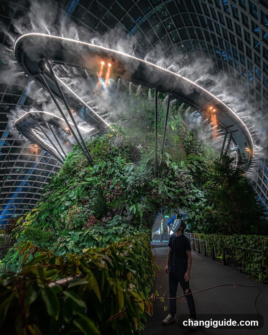 Cloud Forest Interior