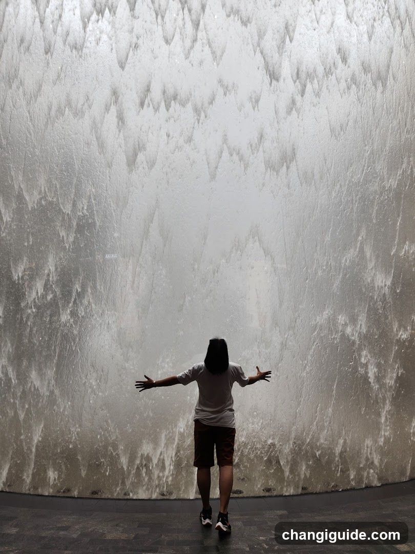 Person facing waterfall wall
