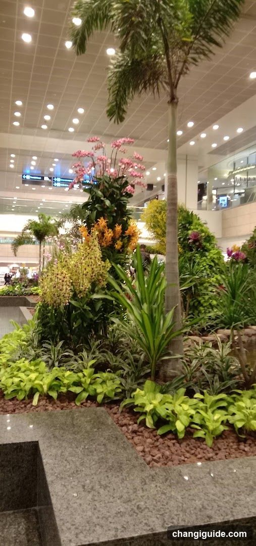 Indoor Garden Display