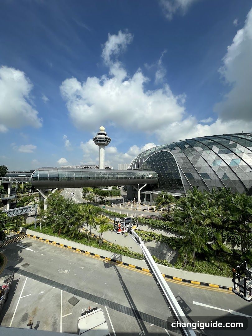 Airport Terminal Exterior View