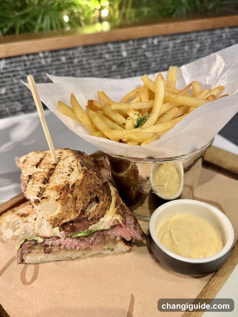 Grilled Sandwich with Fries and Sauce