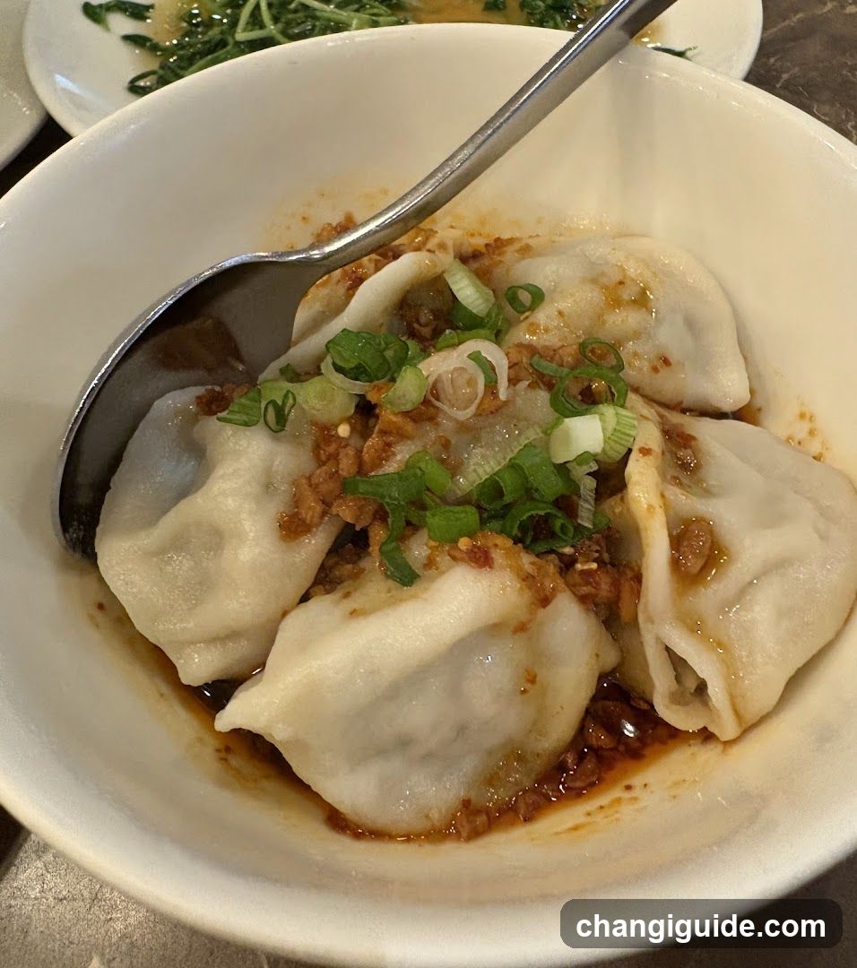Dumplings with Sauce and Scallions