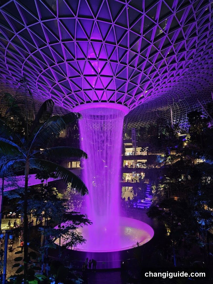 Singapore Garden at Night
