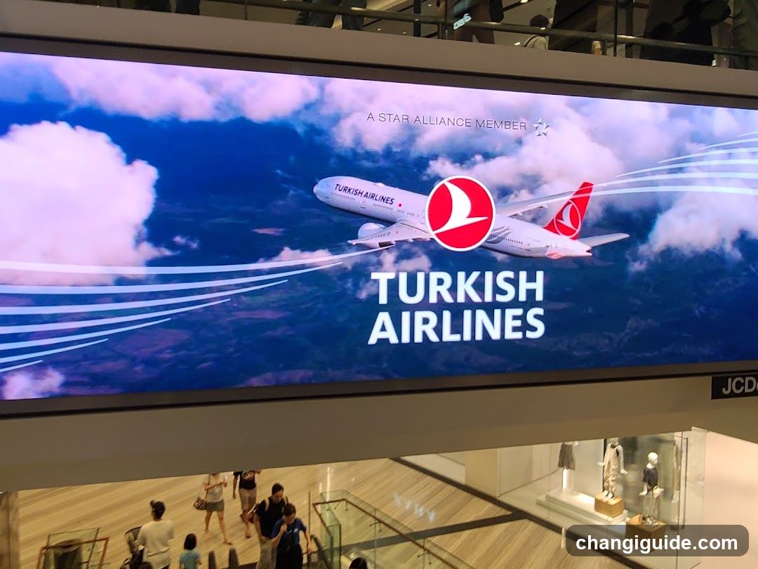 Turkish Airlines Advertisement