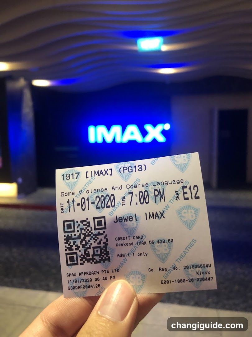 IMAX Ticket and Entrance