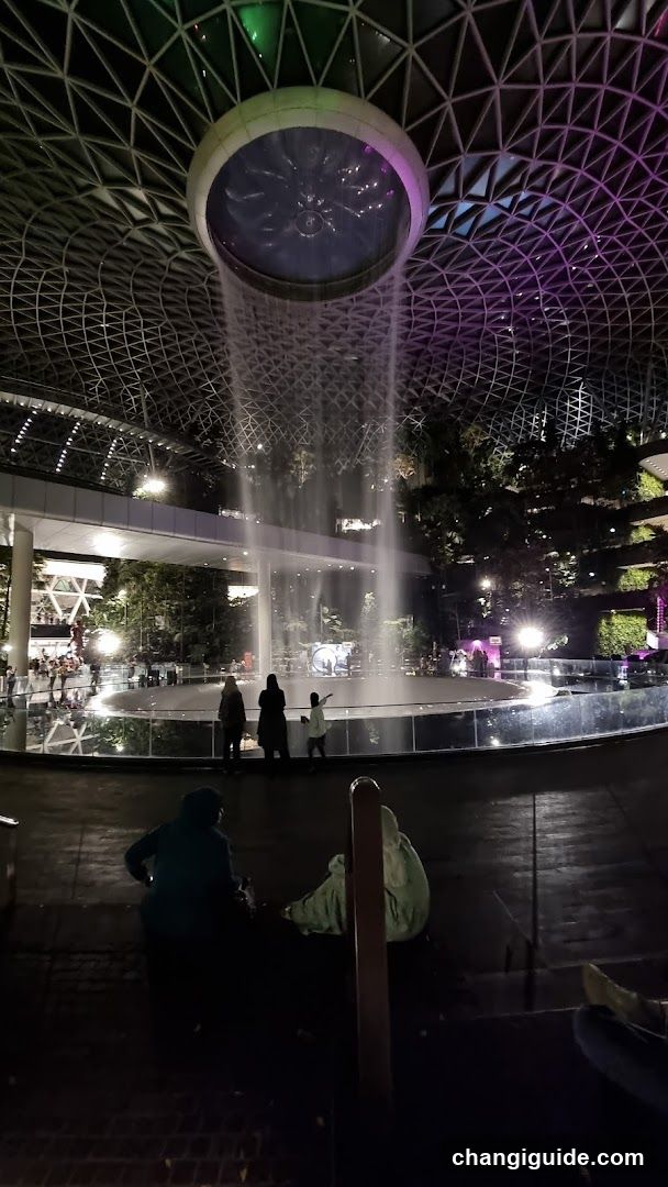 Singapore Garden at Night