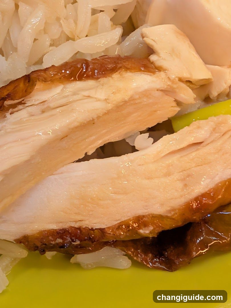 Nasi Ayam Taman Serasi by Fitra