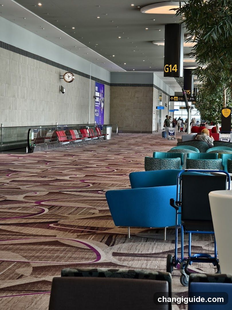 Airport Terminal Interior