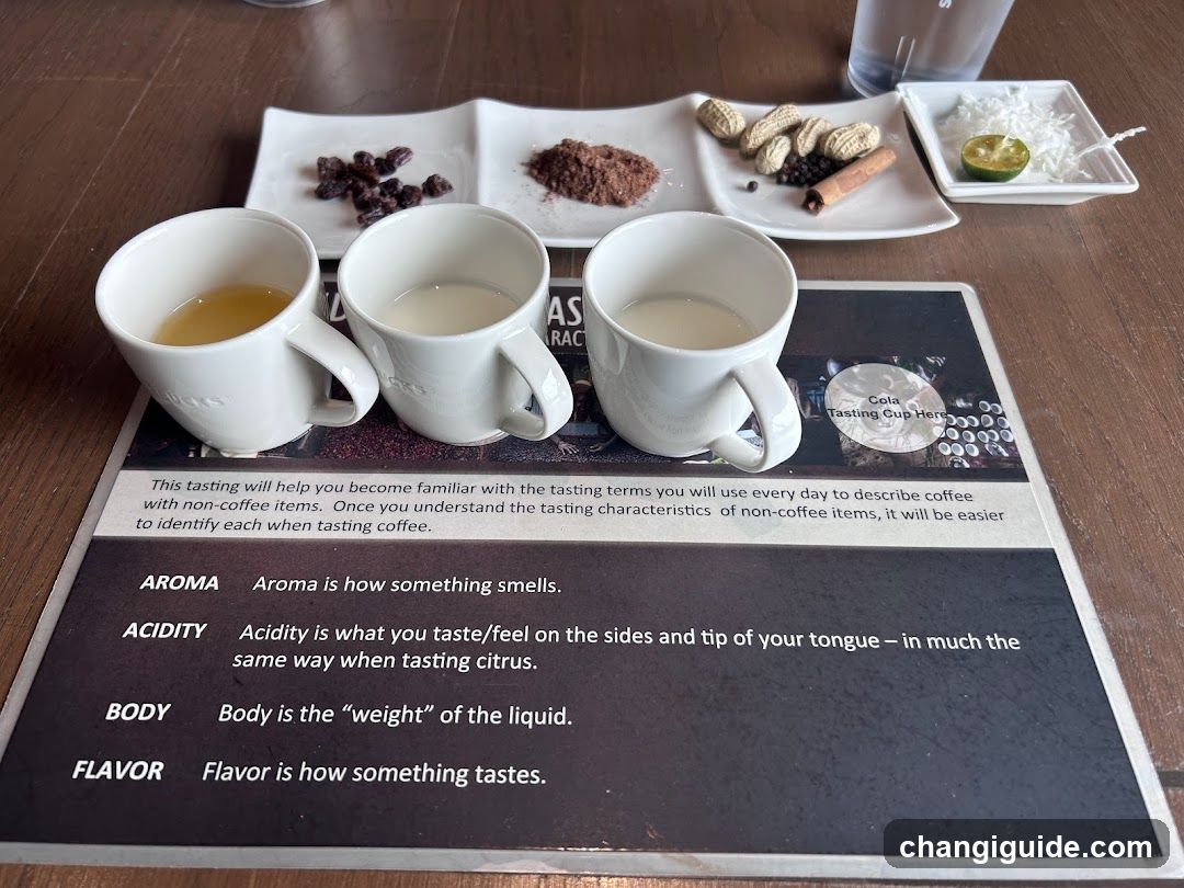 Coffee Tasting Setup