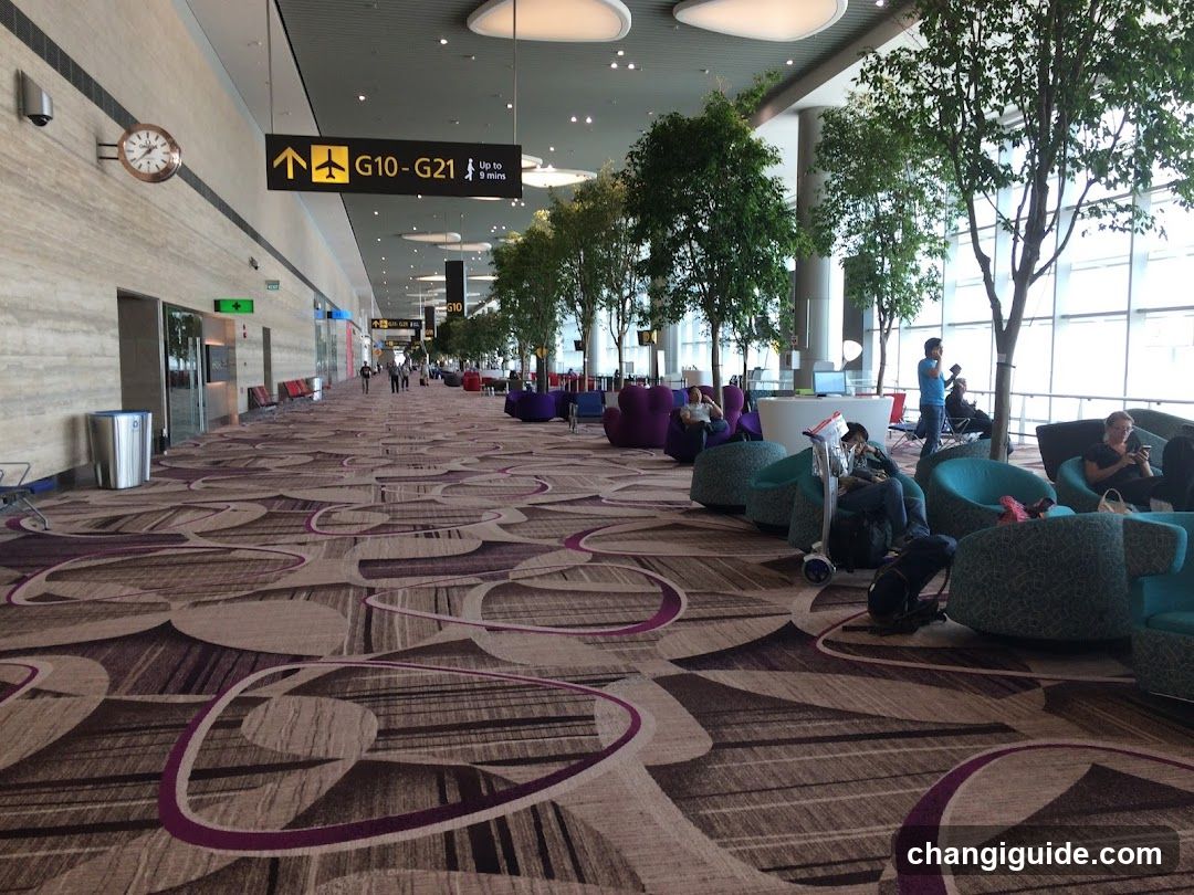 Airport Terminal Interior