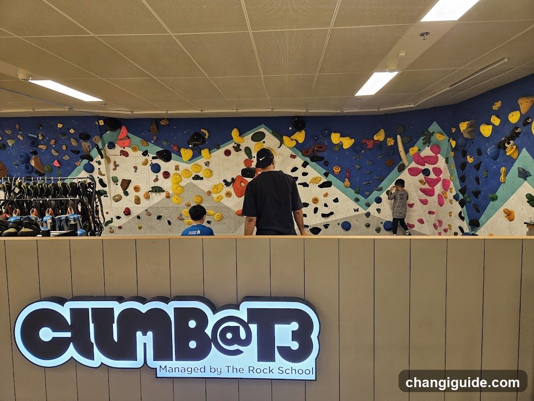 Climb@13 Indoor Climbing Gym Interior