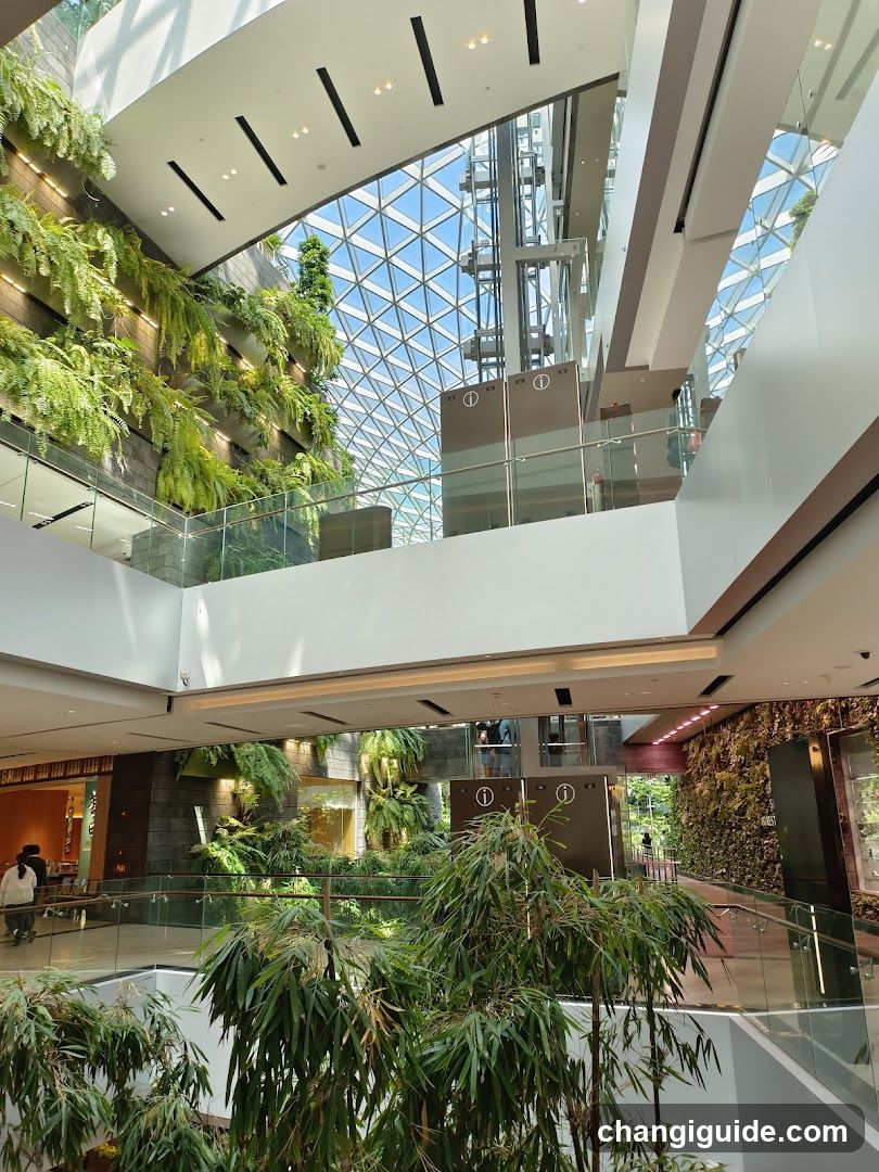 Indoor atrium with greenery and glass ceiling