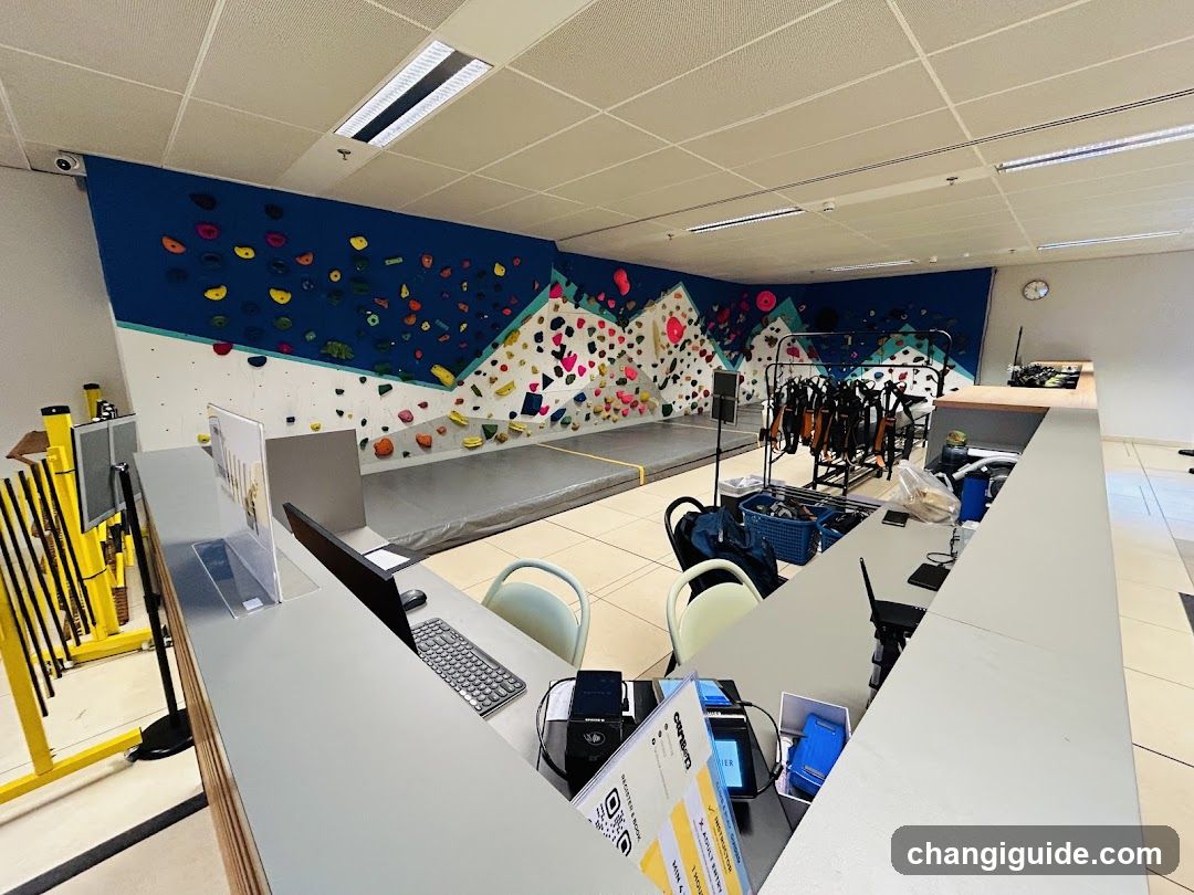 Indoor Climbing Gym Interior