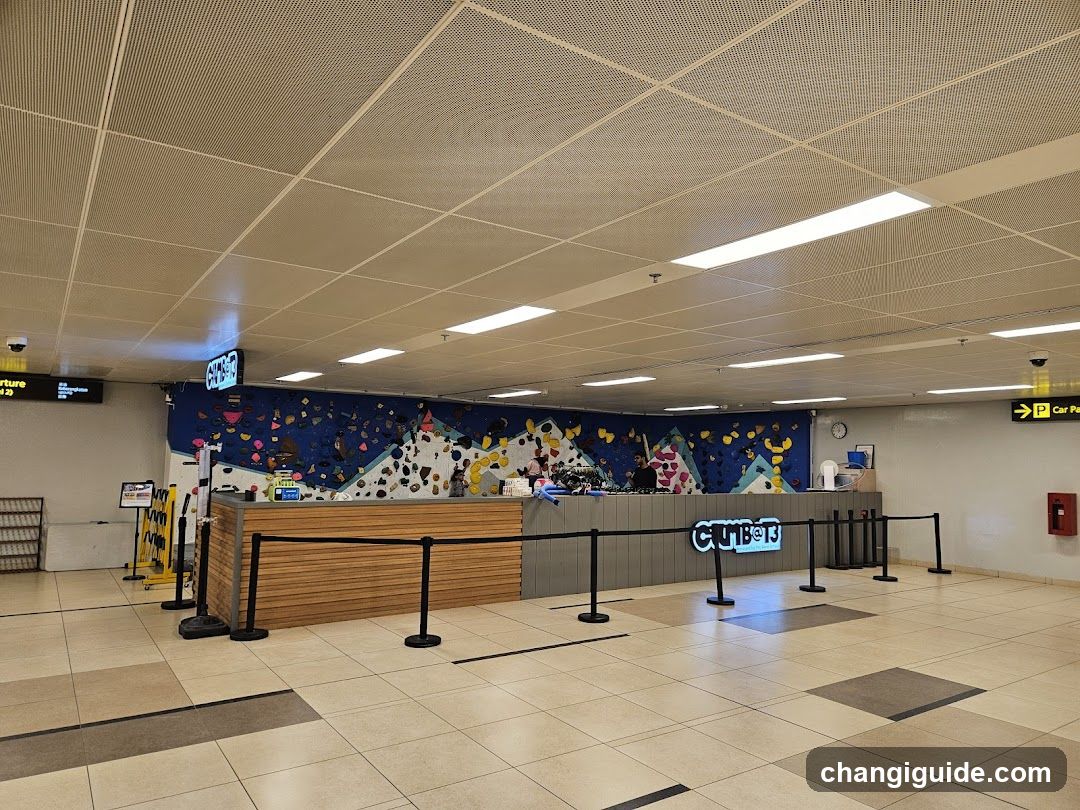 Climbing Wall Interior