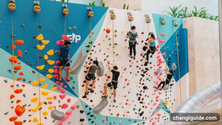 Indoor Rock Climbing Wall