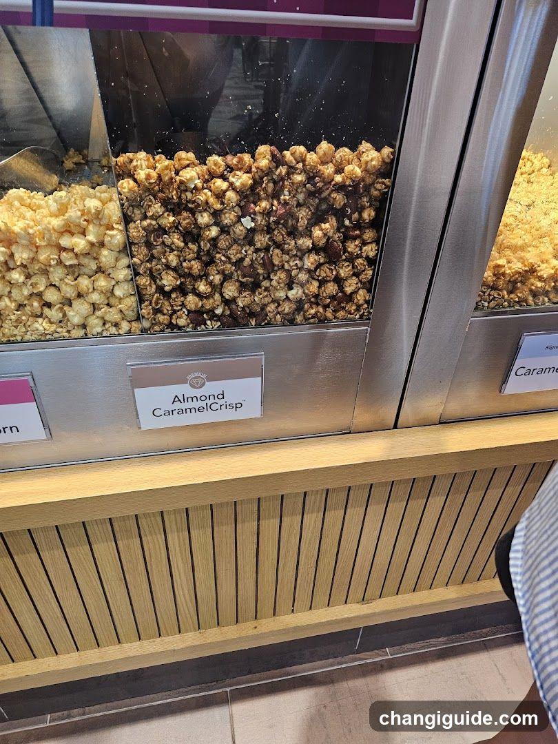 Popcorn Display Case