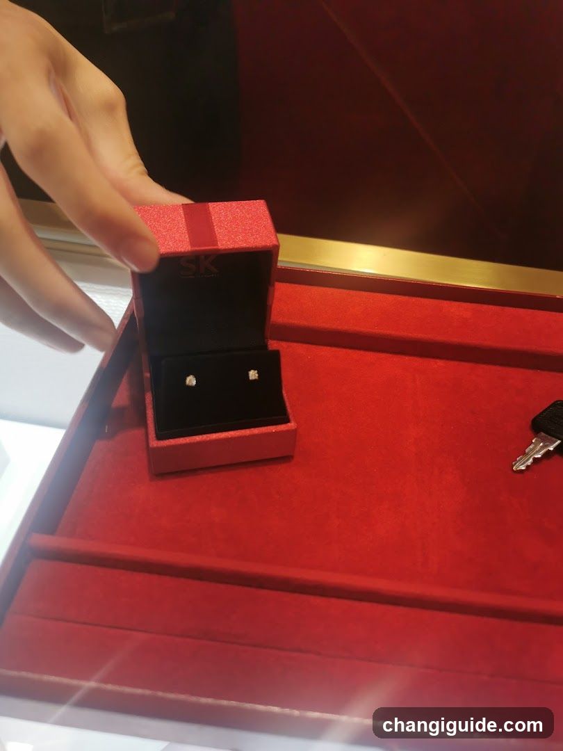 Jewelry Display Case