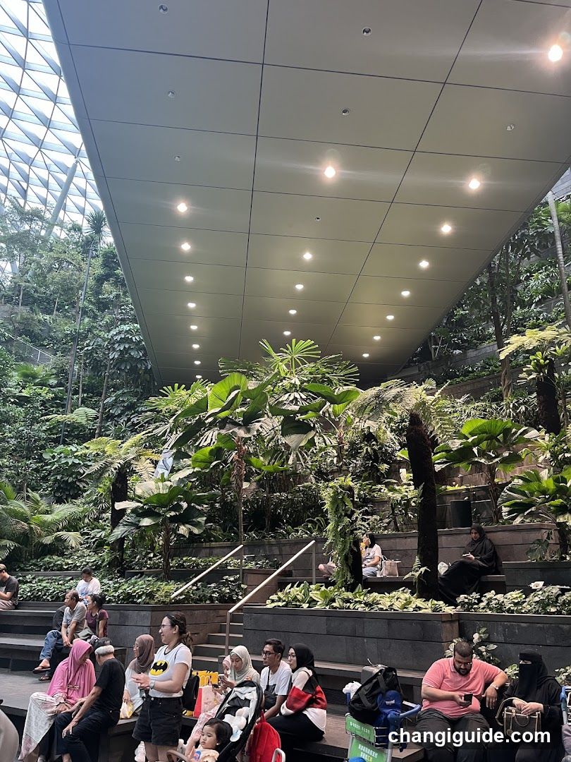 Indoor Garden with People Relaxing
