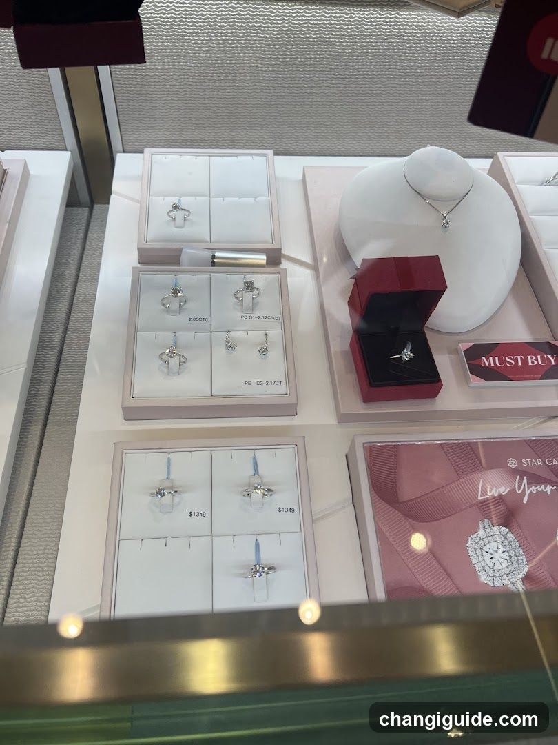 Jewelry Display Case
