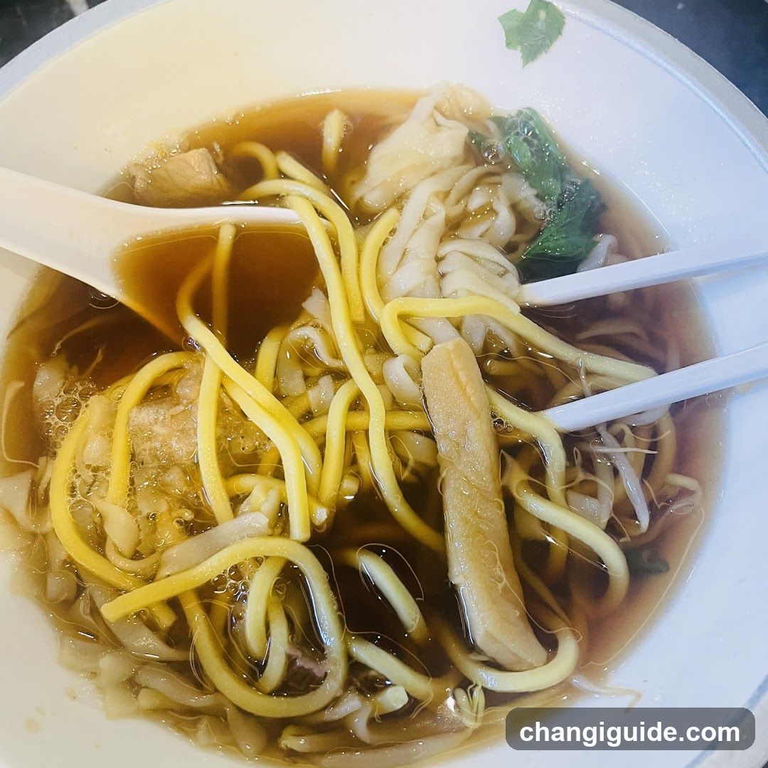Bowl of Noodles with Broth