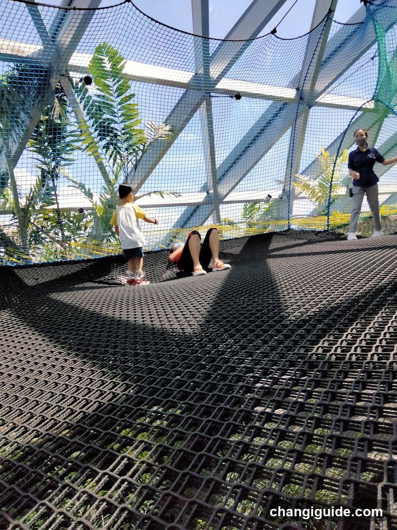 Outdoor Play Area with Netting Structure