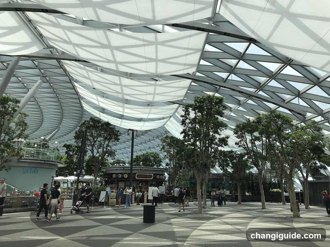 Indoor Market with Geometric Roof