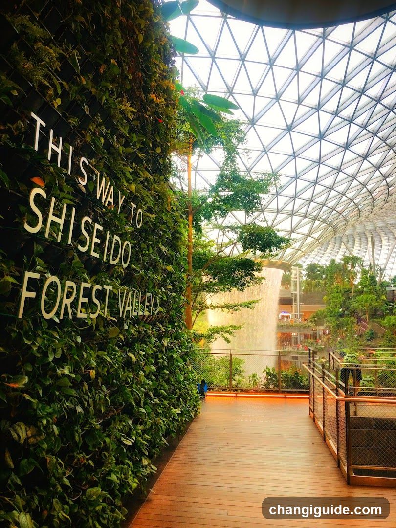 Shiseido Forest Valley Entrance